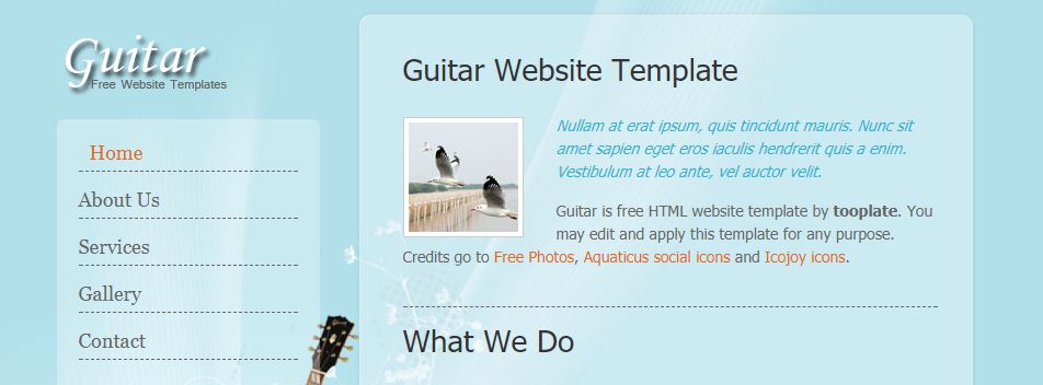 ONLINE MUSIC GALLERY USING HTML AND CSS