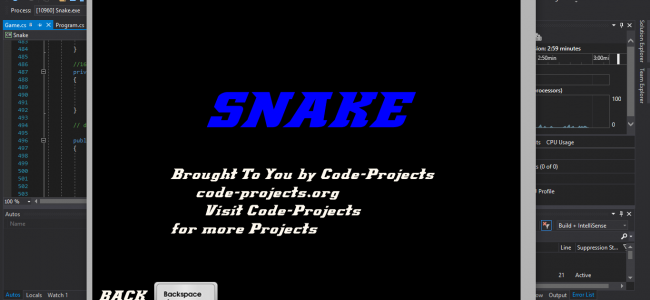 Snake Game In C# With Source Code | Source Code & Projects